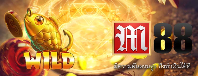 มีความผันผวนสูง ถึงทำเงินได้ดี